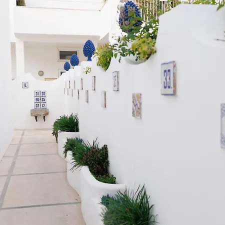 La Pigna Blu-2